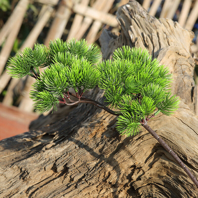 42cm Artificial Plant Pine Bra - огляд і ціна Sphagnum Moss Dry