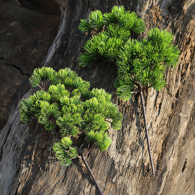 42cm Artificial Plant Pine Bra - огляд і ціна Sphagnum Moss Dry