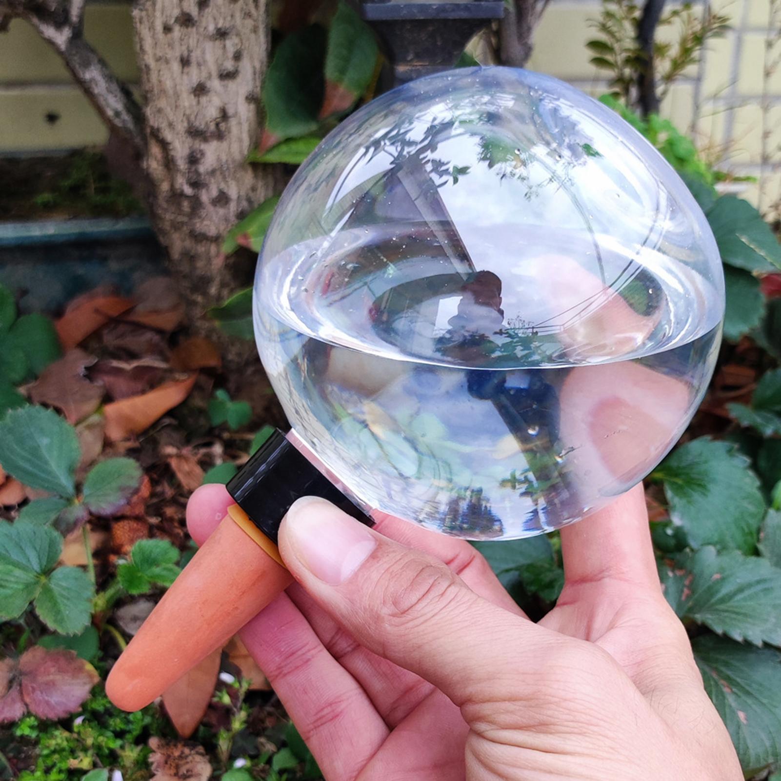 500ml Automatic Watering Globe - огляд і ціна Self Watering Insert