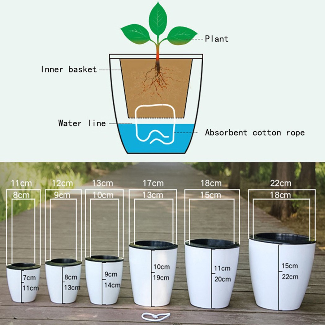 Automatic Watering Flower Plan - огляд і ціна Self Watering Insert